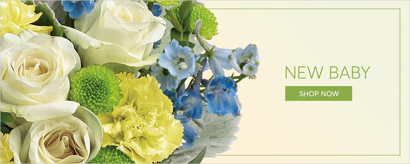Send flowers for the New Baby in Dallas, TX